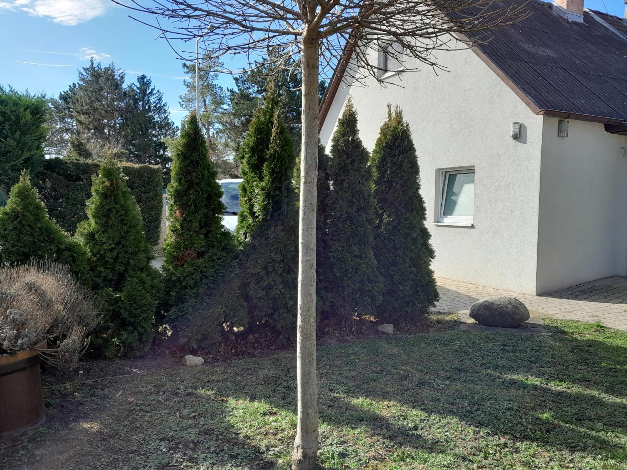 Haus Weissbacher Dom wakacyjny *
